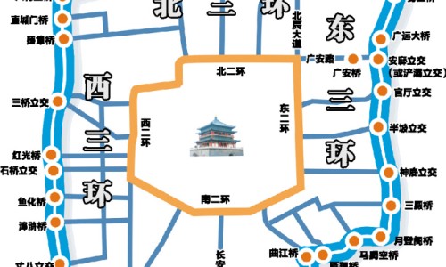 地黃的功效-地篸功效-专业地椮的功效与作用及食用方法平台-地娄的功效