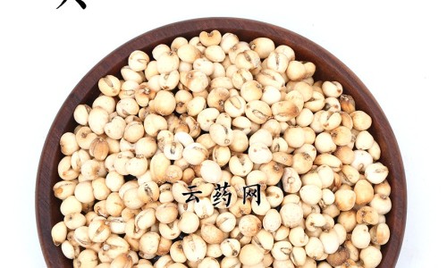 地篸功效-专业地椮的功效与作用及食用方法平台-地娄的功效
